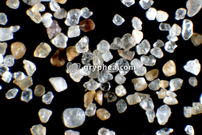 Sable Cap Blanc-Nez - gryphea.com